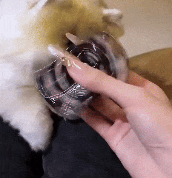 Sanrio Pistol Laser Torch